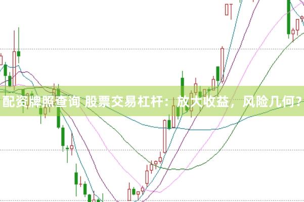 配资牌照查询 股票交易杠杆：放大收益，风险几何？