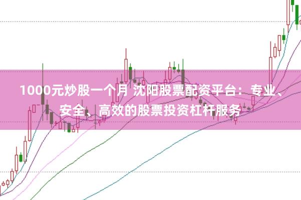 1000元炒股一个月 沈阳股票配资平台：专业、安全、高效的股票投资杠杆服务
