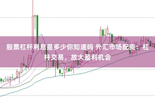 股票杠杆利息是多少你知道吗 外汇市场配资：杠杆交易，放大盈利机会