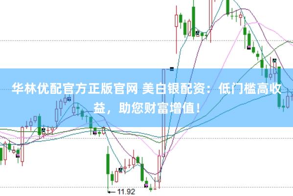 华林优配官方正版官网 美白银配资：低门槛高收益，助您财富增值！