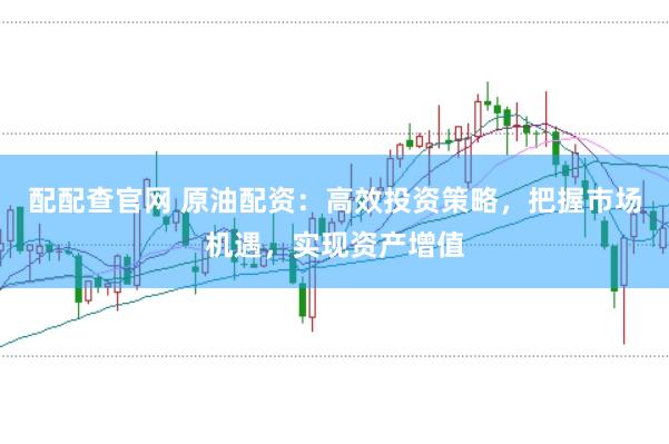 配配查官网 原油配资：高效投资策略，把握市场机遇，实现资产增值