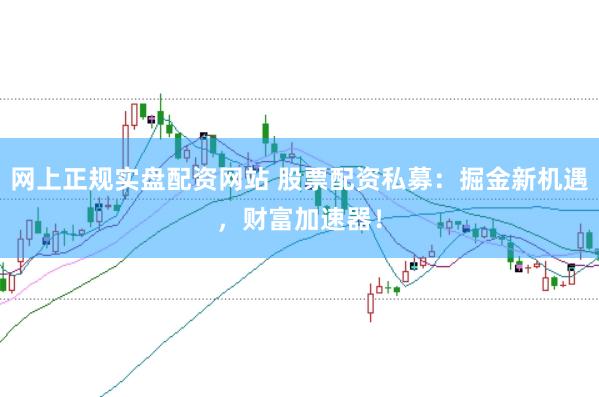 网上正规实盘配资网站 股票配资私募：掘金新机遇，财富加速器！