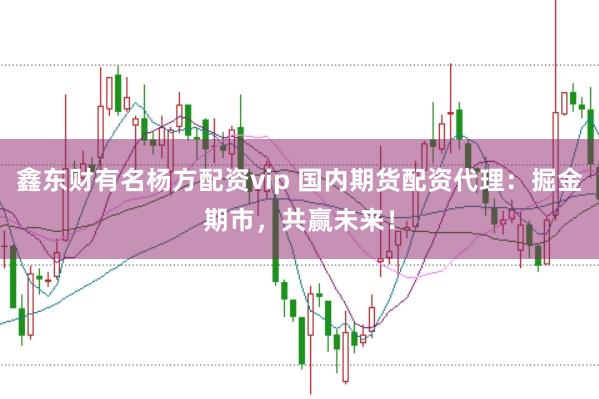 鑫东财有名杨方配资vip 国内期货配资代理：掘金期市，共赢未来！