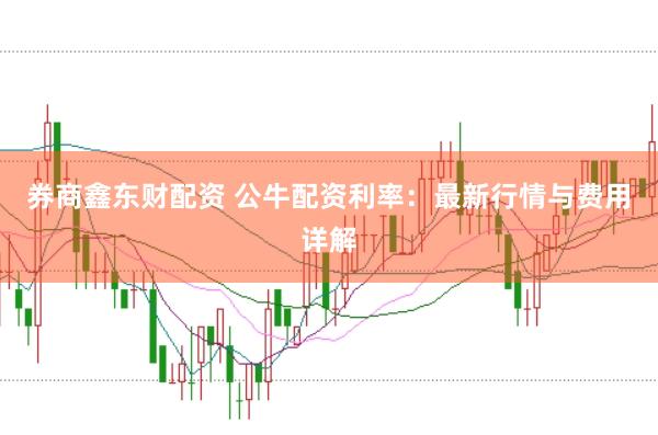 券商鑫东财配资 公牛配资利率：最新行情与费用详解
