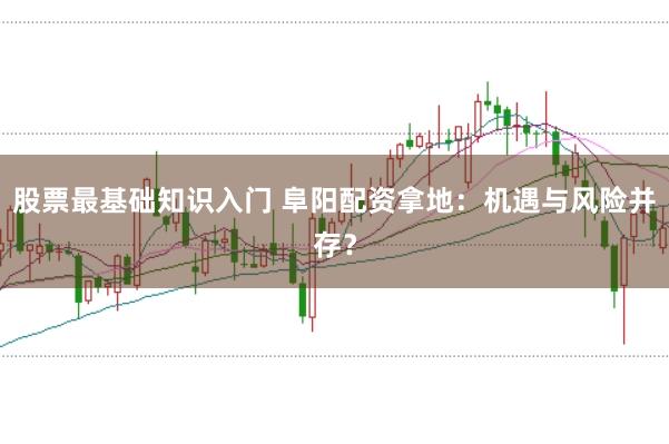 股票最基础知识入门 阜阳配资拿地：机遇与风险并存？