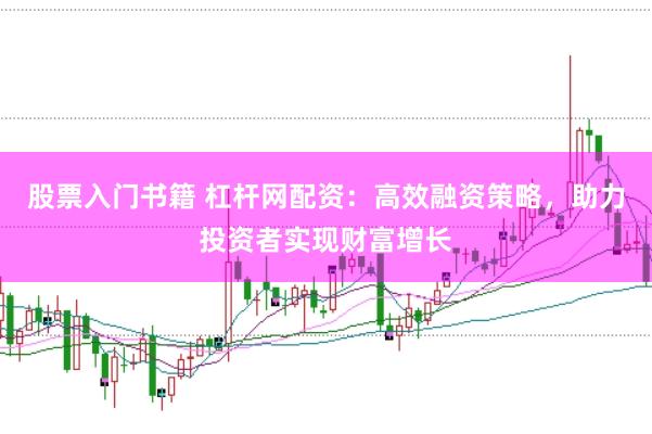 股票入门书籍 杠杆网配资：高效融资策略，助力投资者实现财富增长