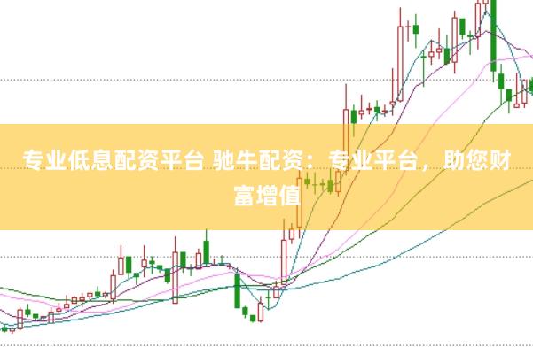 专业低息配资平台 驰牛配资：专业平台，助您财富增值